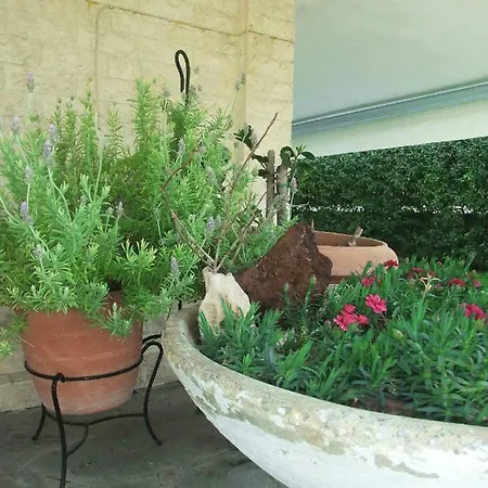 A Majestic Elegant House With A Garden *